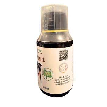 Preview: Darmvital 1 - 100ml